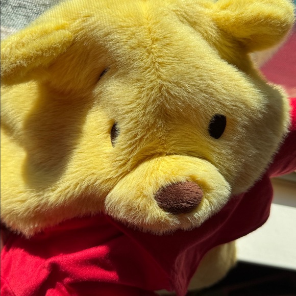 Pottery Barn Winnie the Pooh Baby Costume with attached Red Vest - Picture 4 of 7